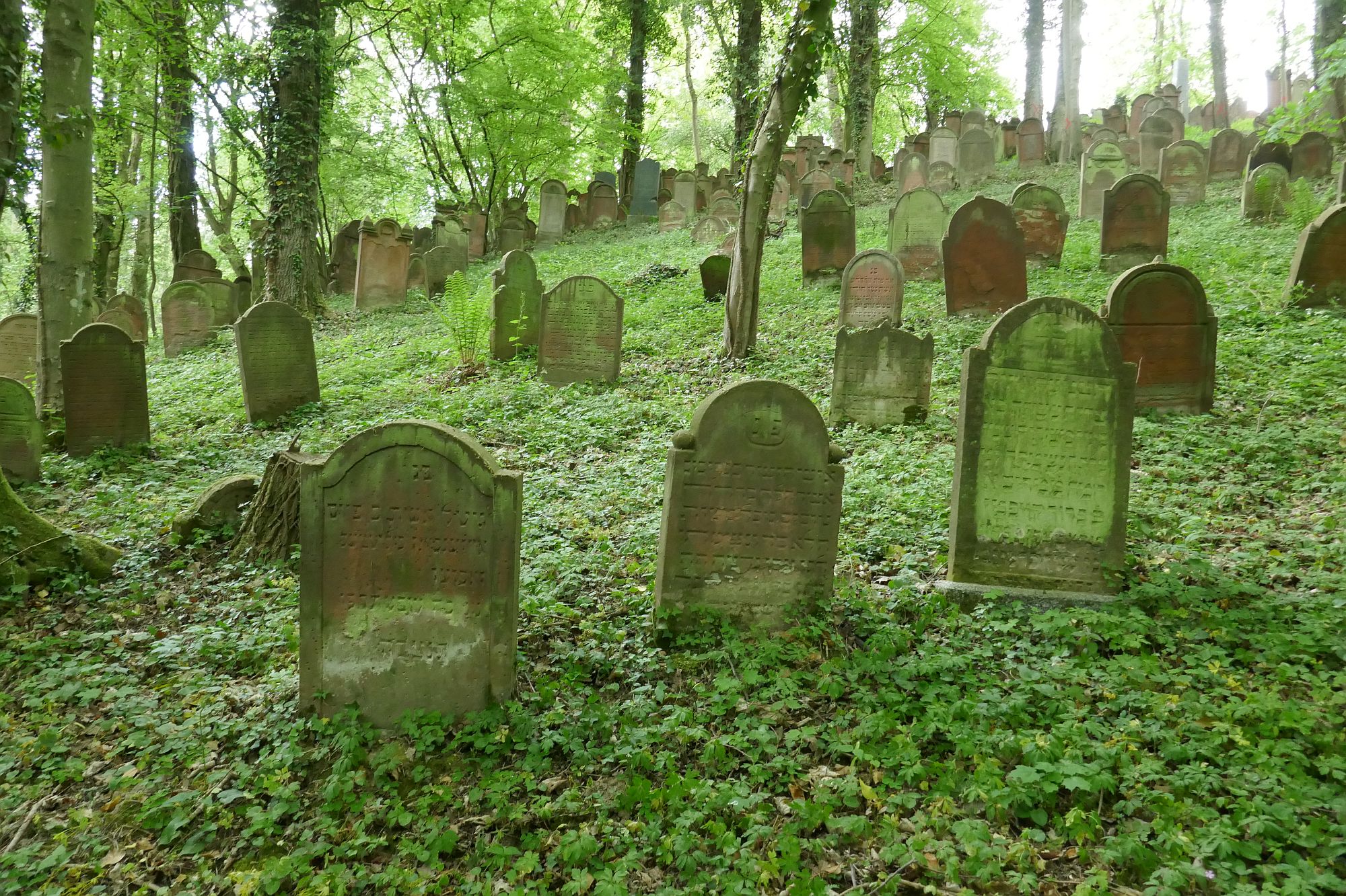 Der jüdische Friedhof in Hemsbach (RheinNeckarKreis)